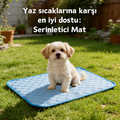 "Ferahpati™ - Pet Serinletici ve Konfor Matı"